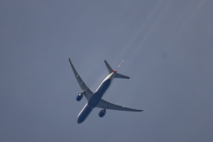 G-STBP